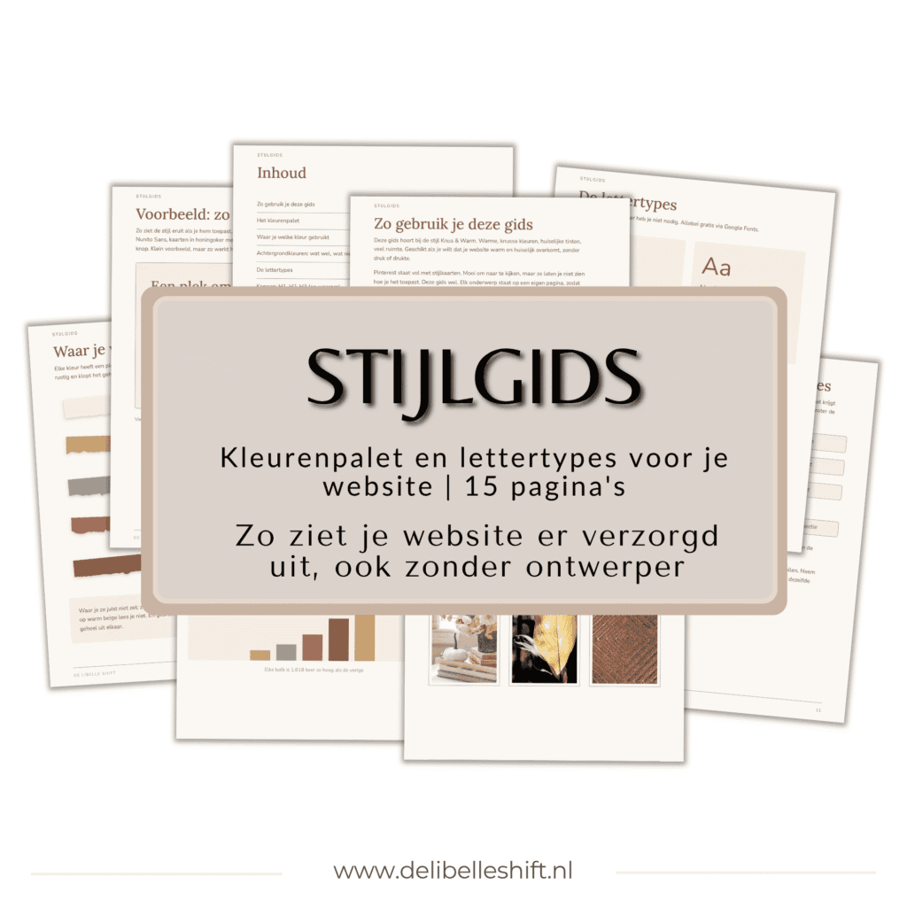 Pagina’s uit een stijlgids van De Libelle Shift, met kleurenpalet en lettertypes