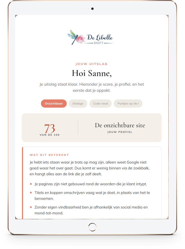 De uitslag van de website check op een tablet, met score 73 en profiel De onzichtbare site